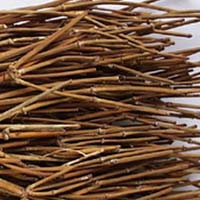 麻黄-麻黄的功效作用_用法与用量-中品