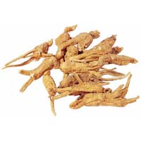 人参-人参的功效作用与方剂-上品