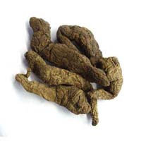 干地黄-干地黄的功效作用与方剂-上品