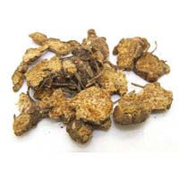 白术-白术的苍术的功效作用与方剂-上品