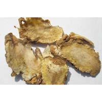 独活-独活的功效作用与方剂-上品