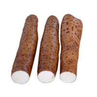 山药-薯蓣(山药)的功效作用与方剂-上品
