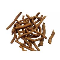 远志-远志（为君）的功效作用与方剂-上品