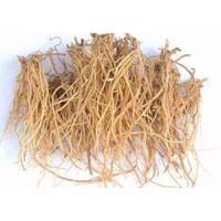 龙胆-龙胆的功效作用与方剂-上品