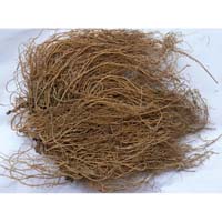 细辛-细辛的功效作用与方剂-上品