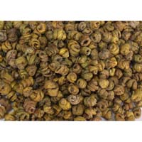 石斛-石斛的功效作用与方剂-上品